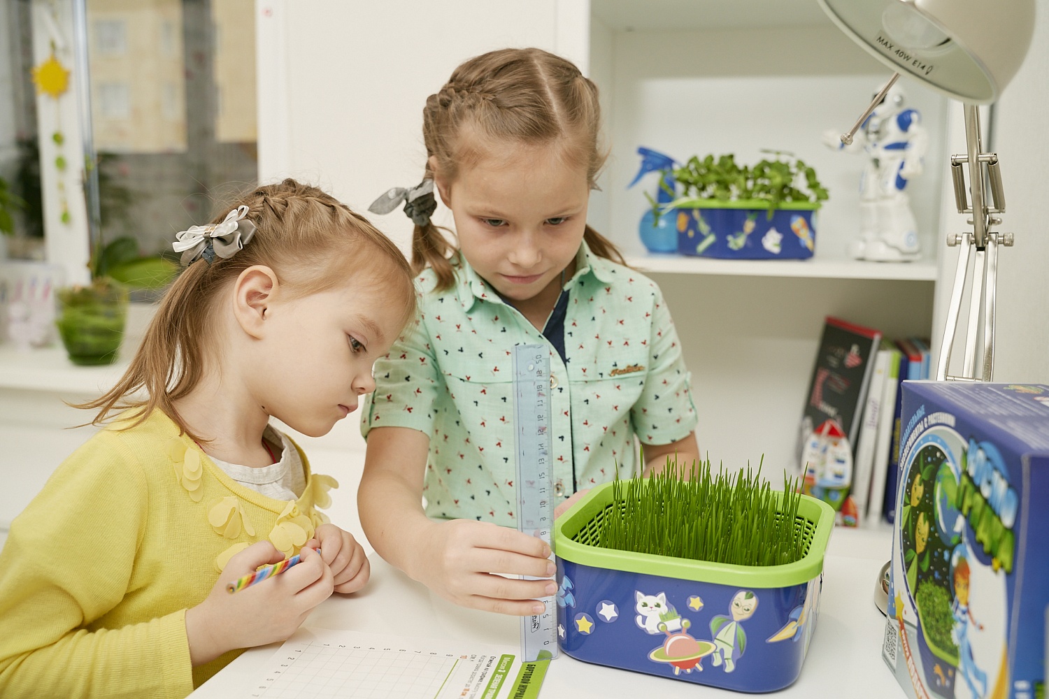 Как вырастить микрозелень в домашних условиях? Советы и рекомендации по проращиванию